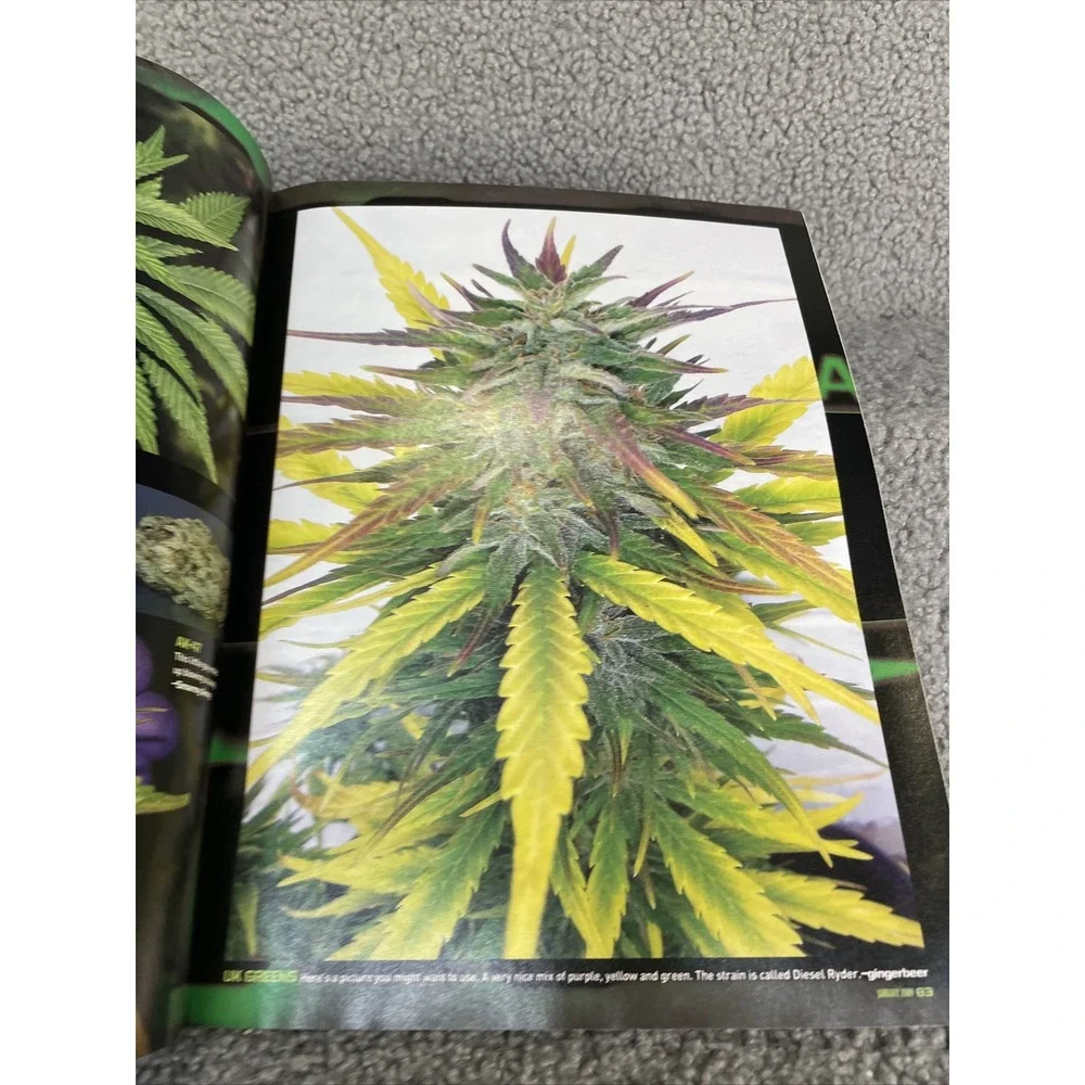 High Times‎ January 2009 Issue# 396 James Franco Stoner